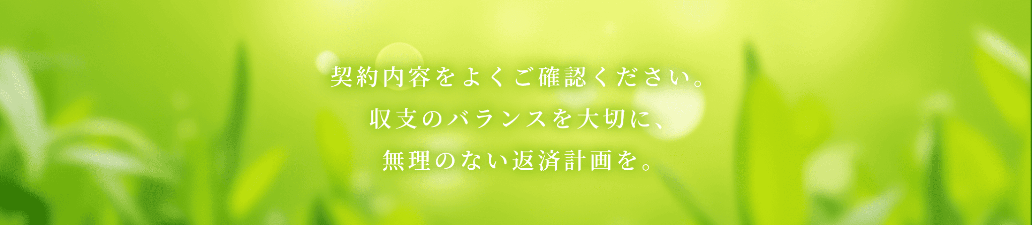 契約内容をよくご確認ください。収支のバランスを大切に、無理のない返済計画を。